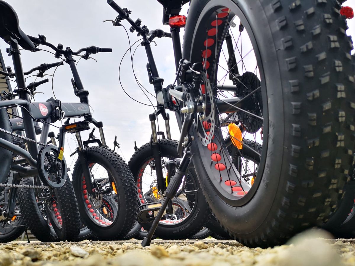 Fatbikes van Dossier Lier