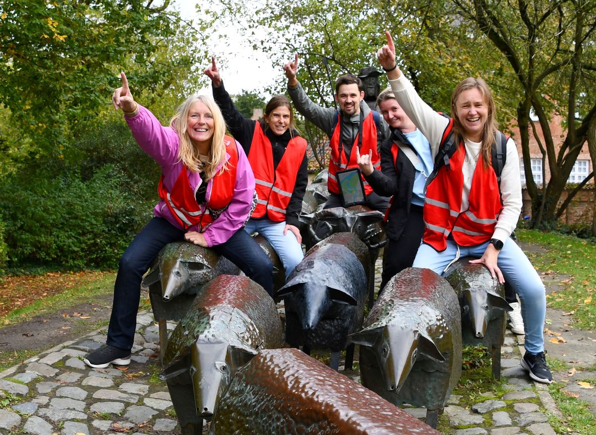 Team bij de schapen in Lier